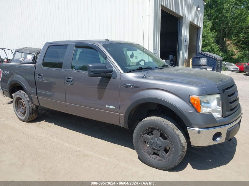 2011 FORD F-150 XLT