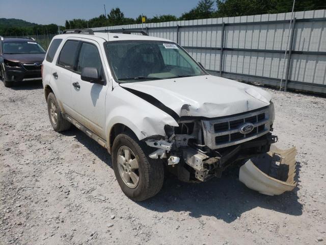 2011 FORD ESCAPE XLT