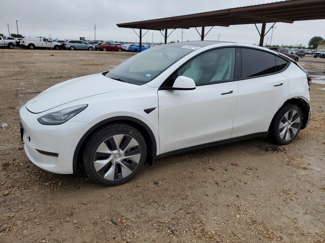 2021 TESLA MODEL Y