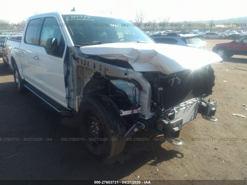 2019 FORD F-150 XLT