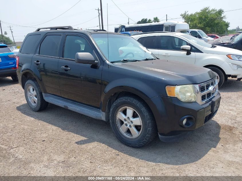 2010 FORD ESCAPE XLT