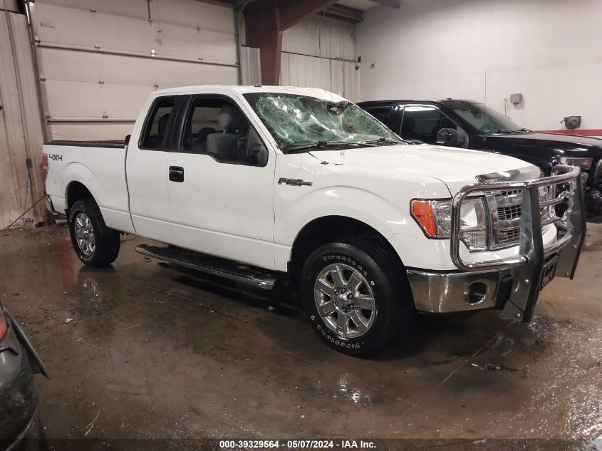 2013 FORD F-150 XLT