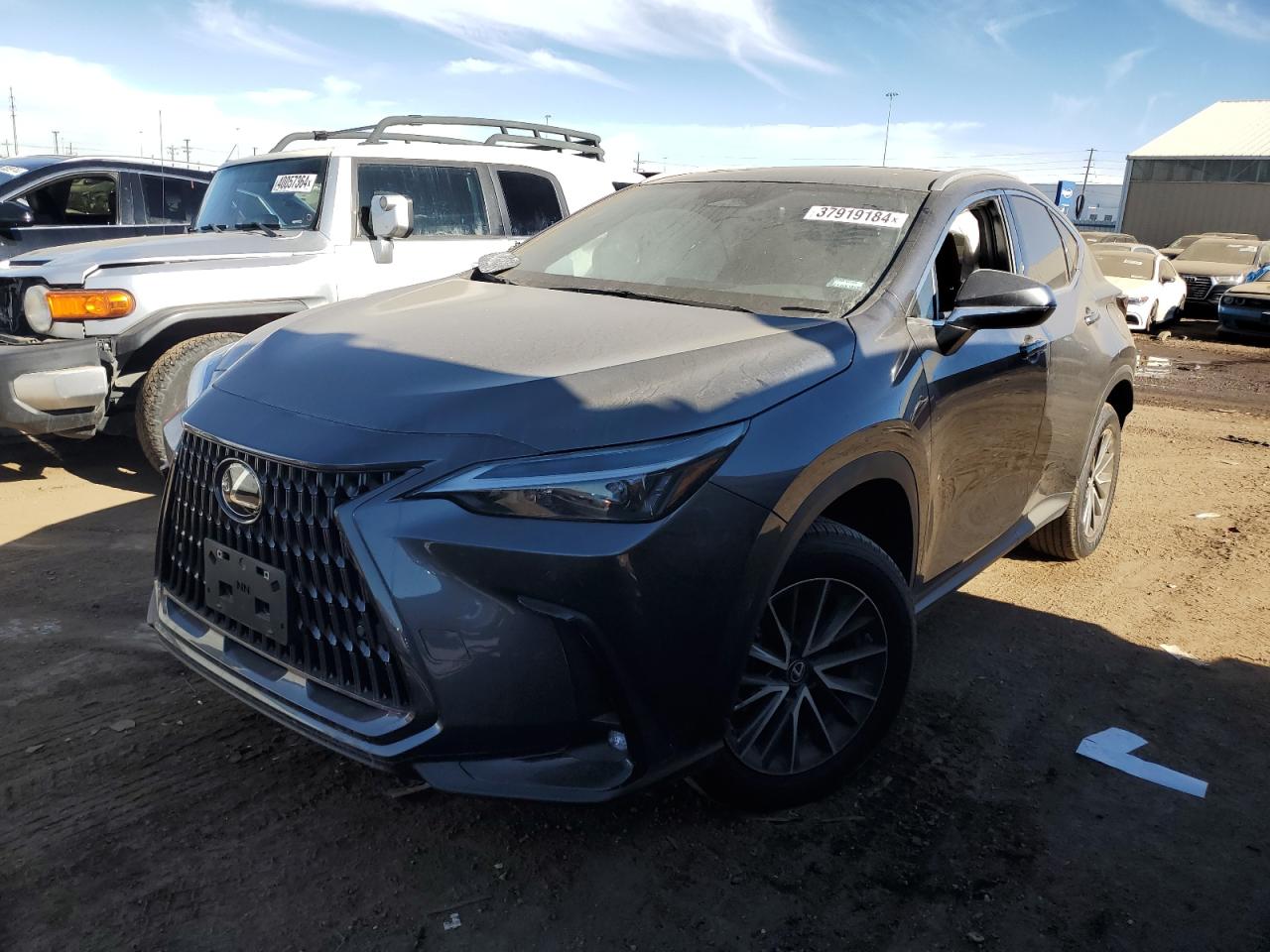 2023 LEXUS NX 350H