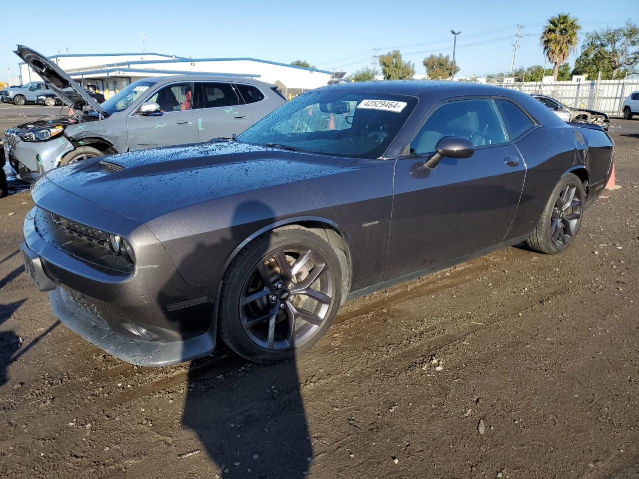 2019 DODGE CHALLENGER R/T