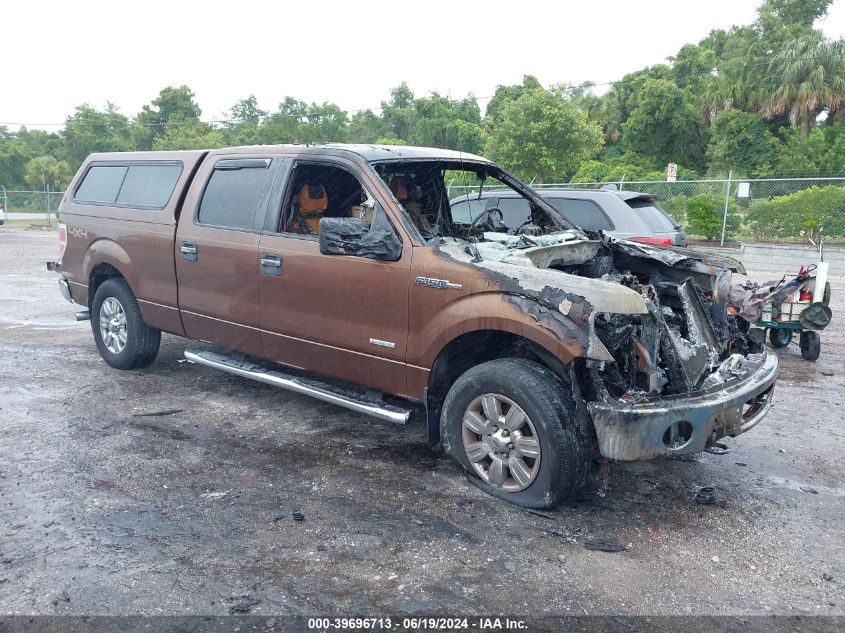 2011 FORD F-150 XLT