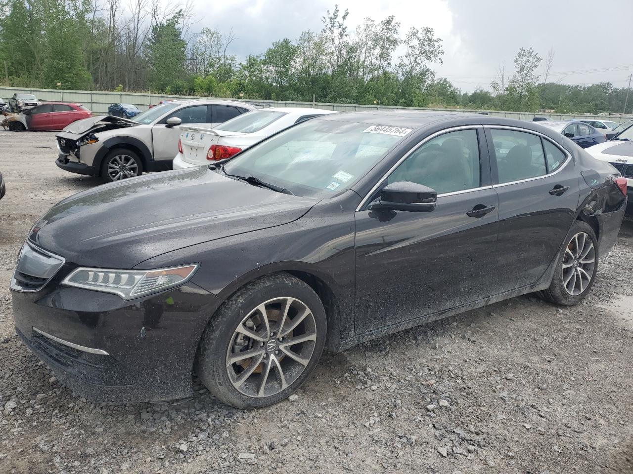 2015 ACURA TLX TECH