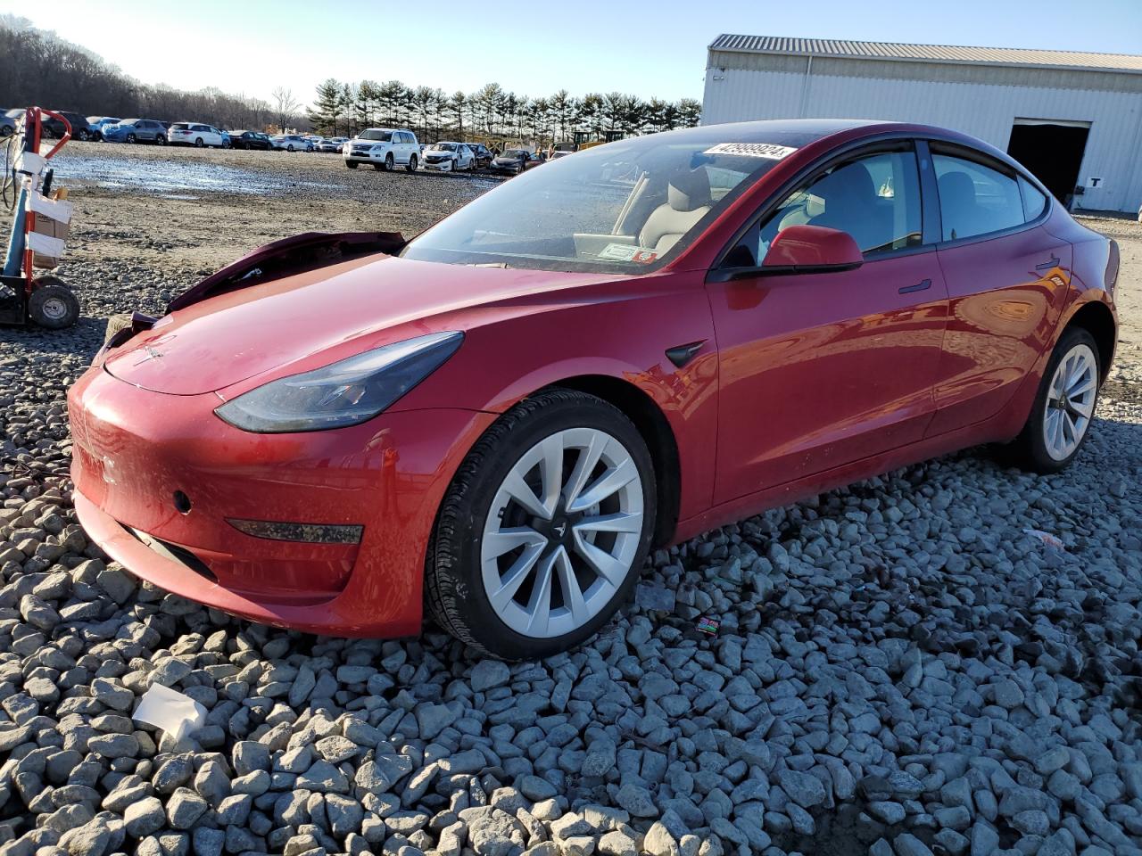 2023 TESLA MODEL 3