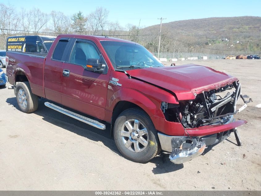 2014 FORD F-150 XLT