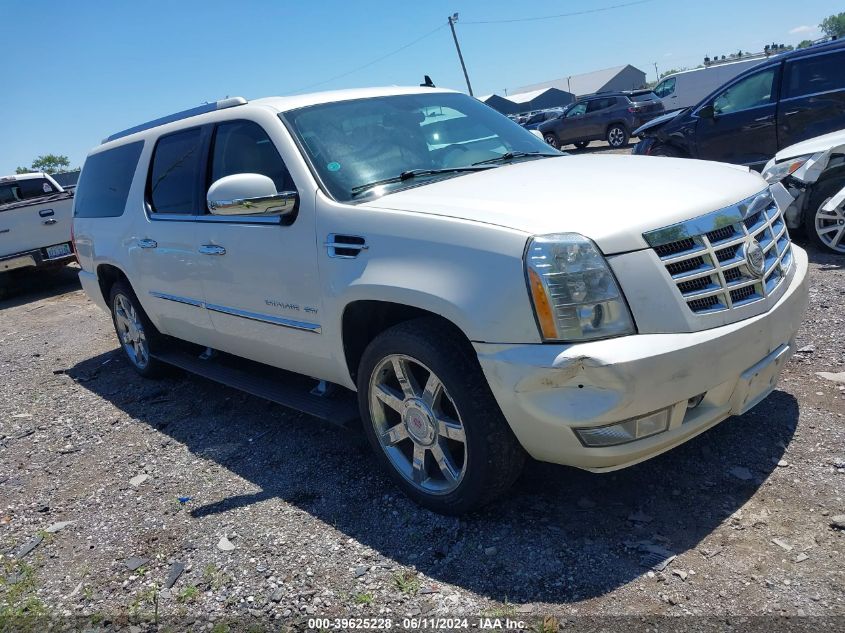 2010 CADILLAC ESCALADE ESV PREMIUM