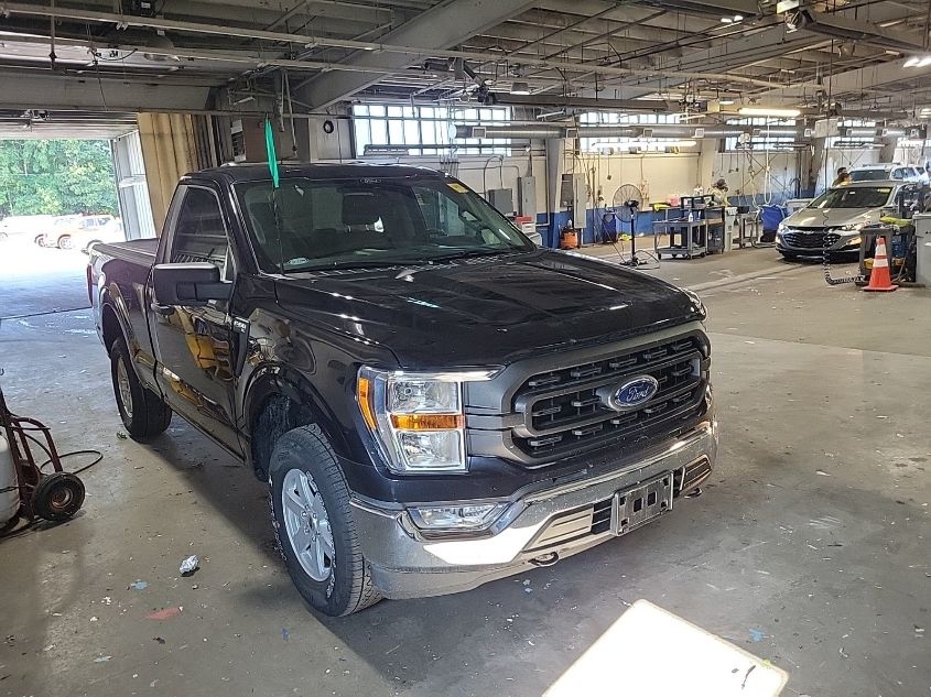 2021 FORD F150