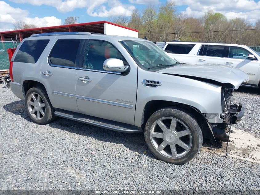 2010 CADILLAC ESCALADE LUXURY