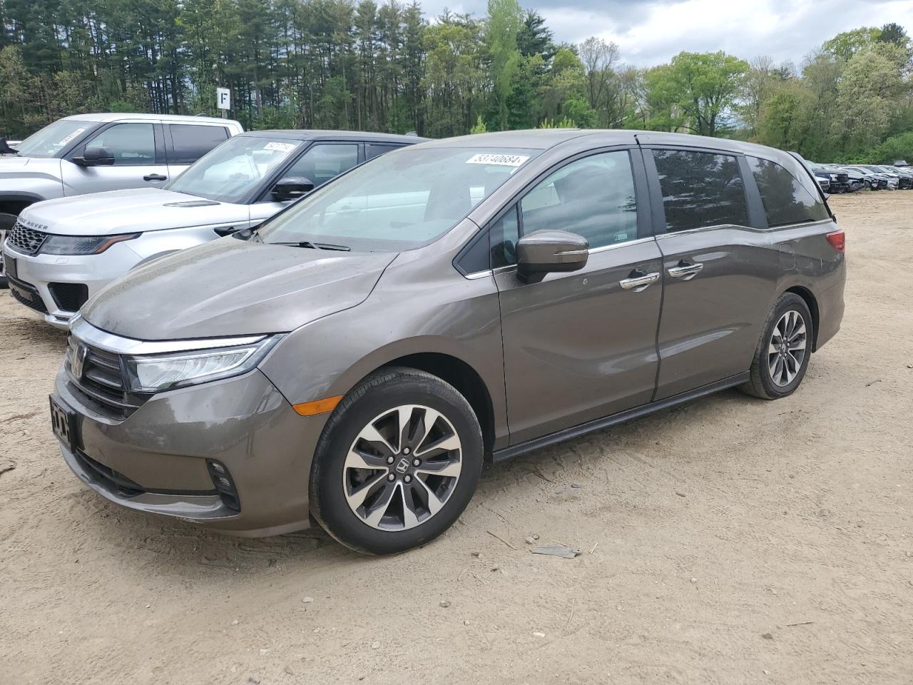 2022 HONDA ODYSSEY EXL