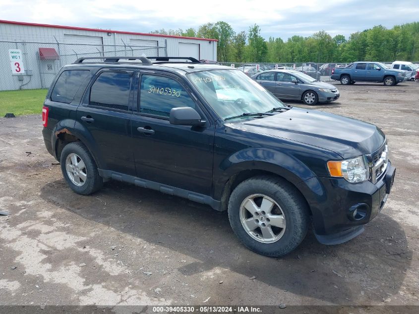 2011 FORD ESCAPE XLT