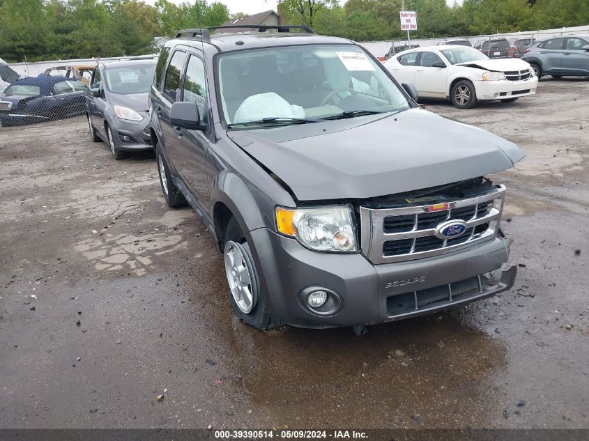 2011 FORD ESCAPE XLT