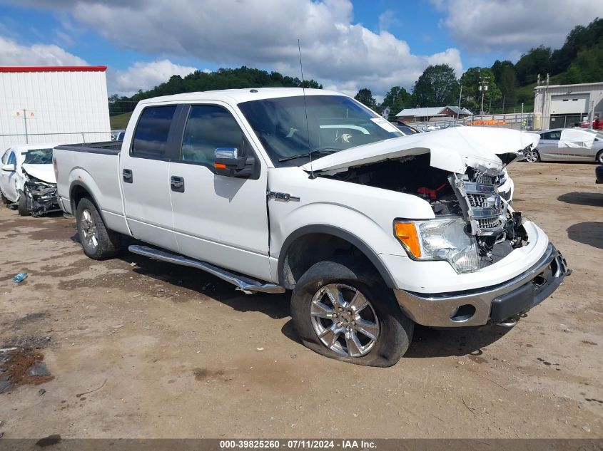 2014 FORD F-150 XLT