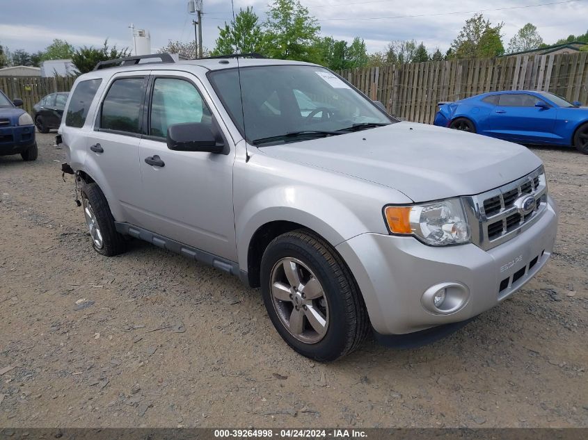 2011 FORD ESCAPE XLT