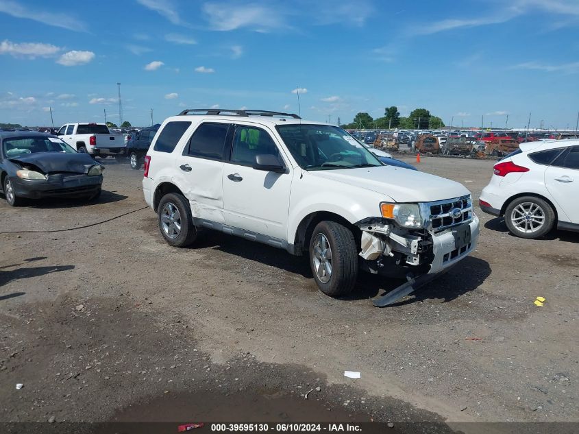 2011 FORD ESCAPE XLT