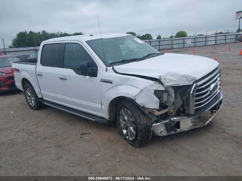 2015 FORD F-150 XLT