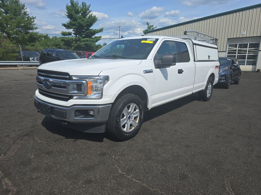 2019 FORD F-150 XLT