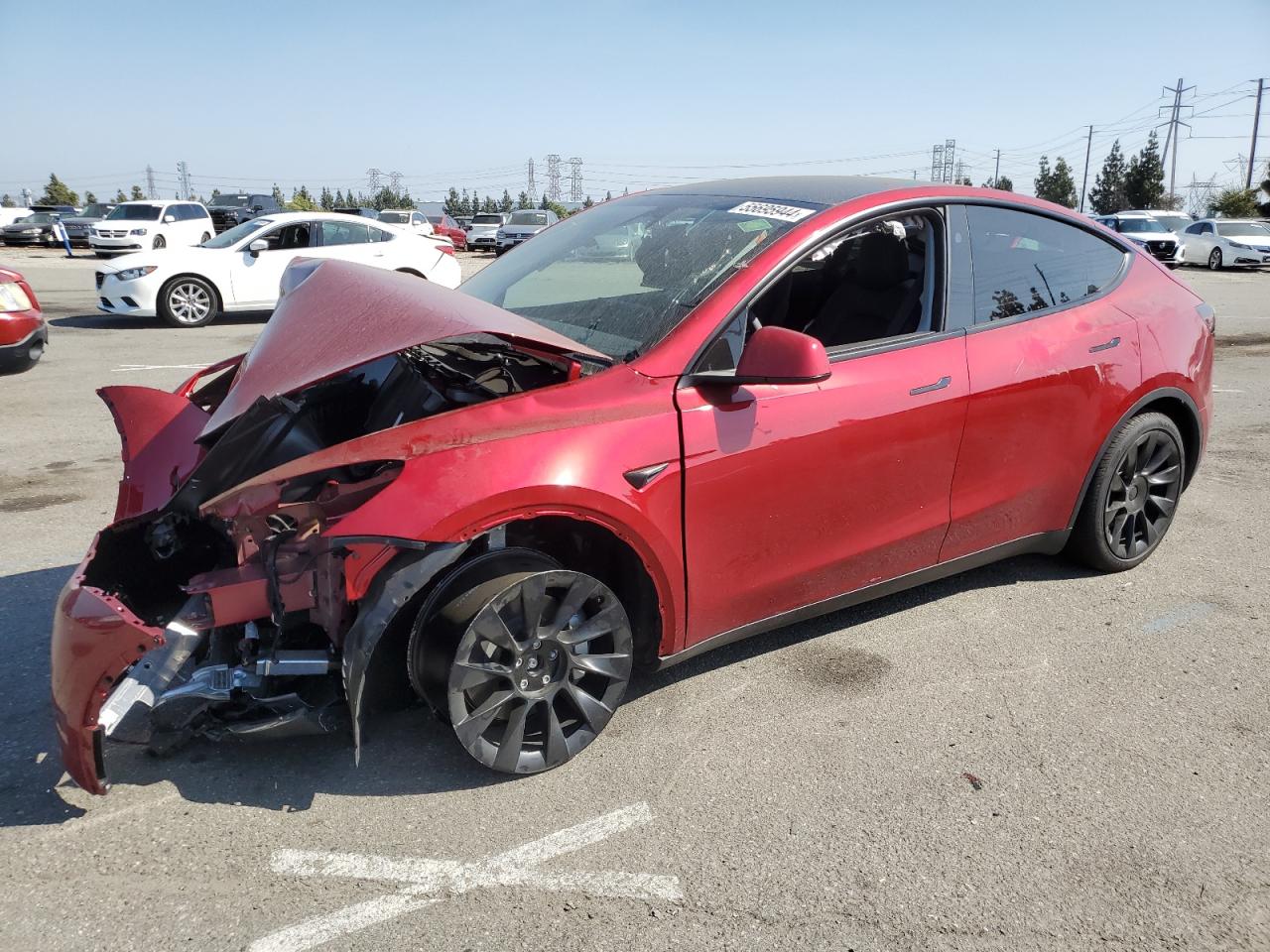 2024 TESLA MODEL Y