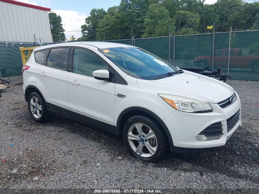 2014 FORD ESCAPE SE