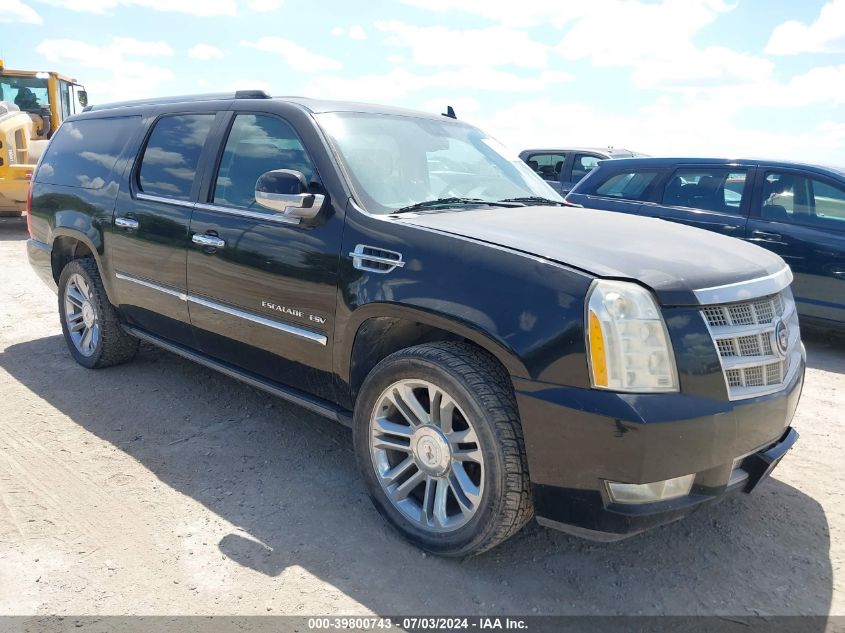 2010 CADILLAC ESCALADE ESV PLATINUM EDITION