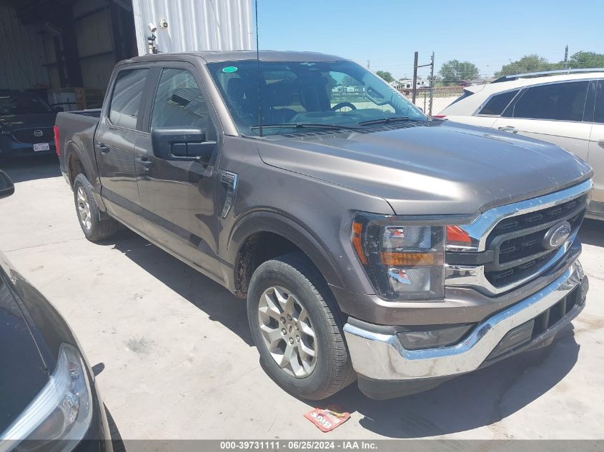 2023 FORD F-150 XLT