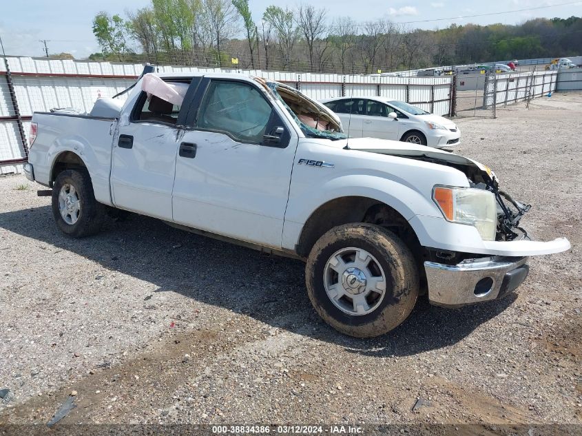 2013 FORD F-150 XLT