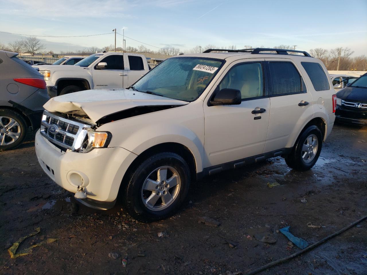 2011 FORD ESCAPE XLT