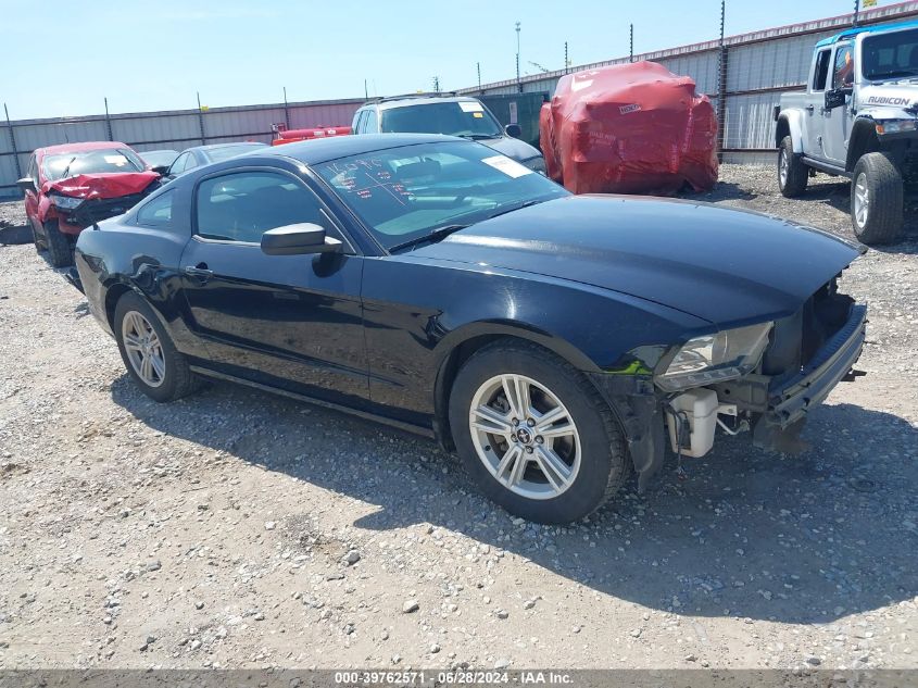 2014 FORD MUSTANG V6