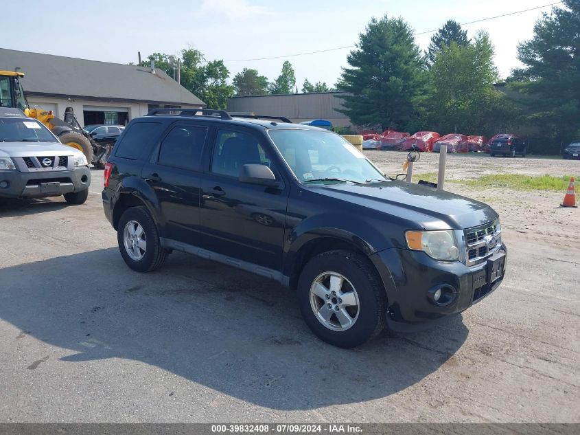 2011 FORD ESCAPE XLT