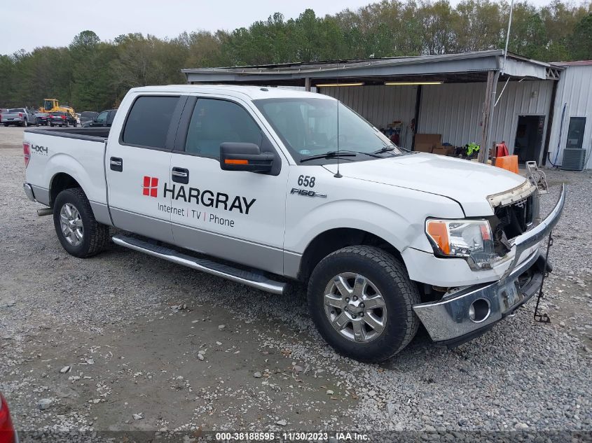 2013 FORD F-150 XLT