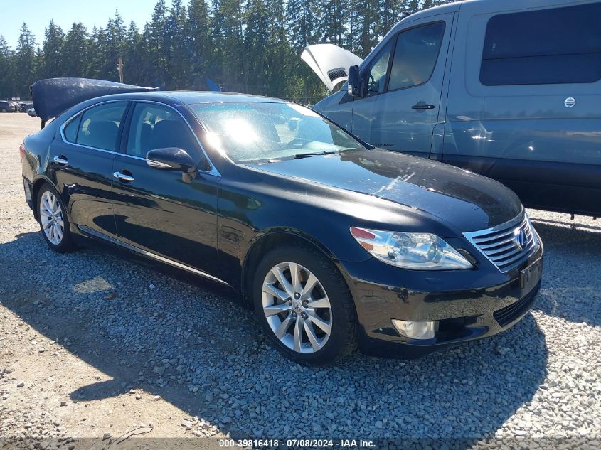 2010 LEXUS LS 460