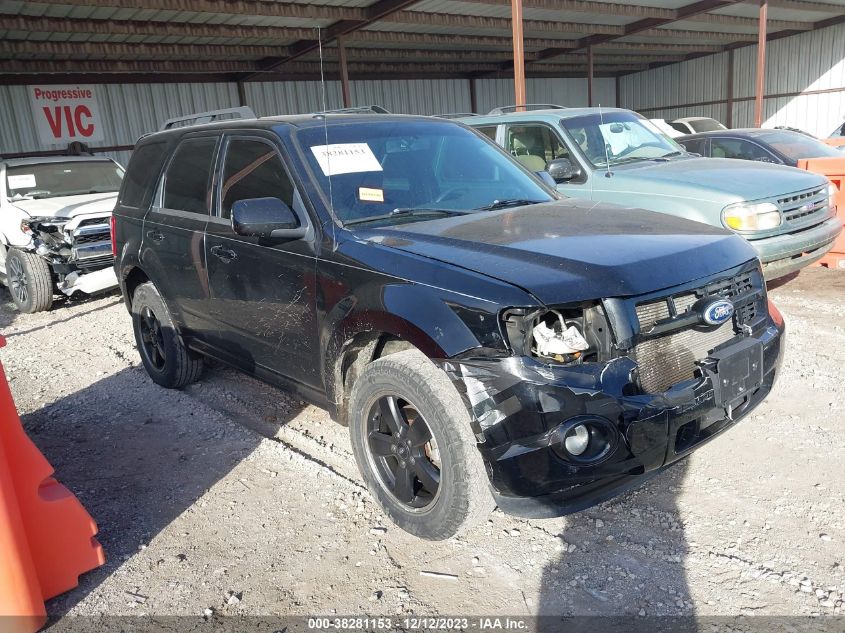 2010 FORD ESCAPE XLT