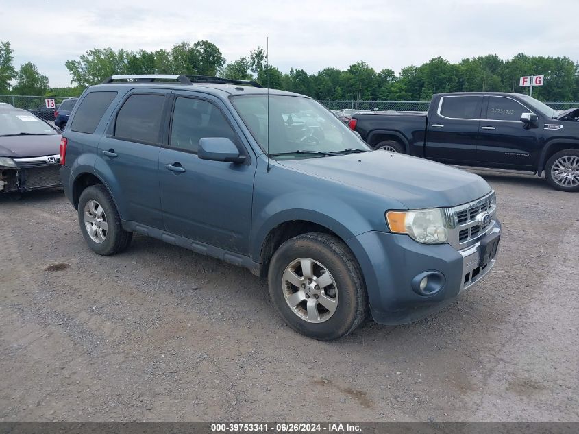 2010 FORD ESCAPE LIMITED