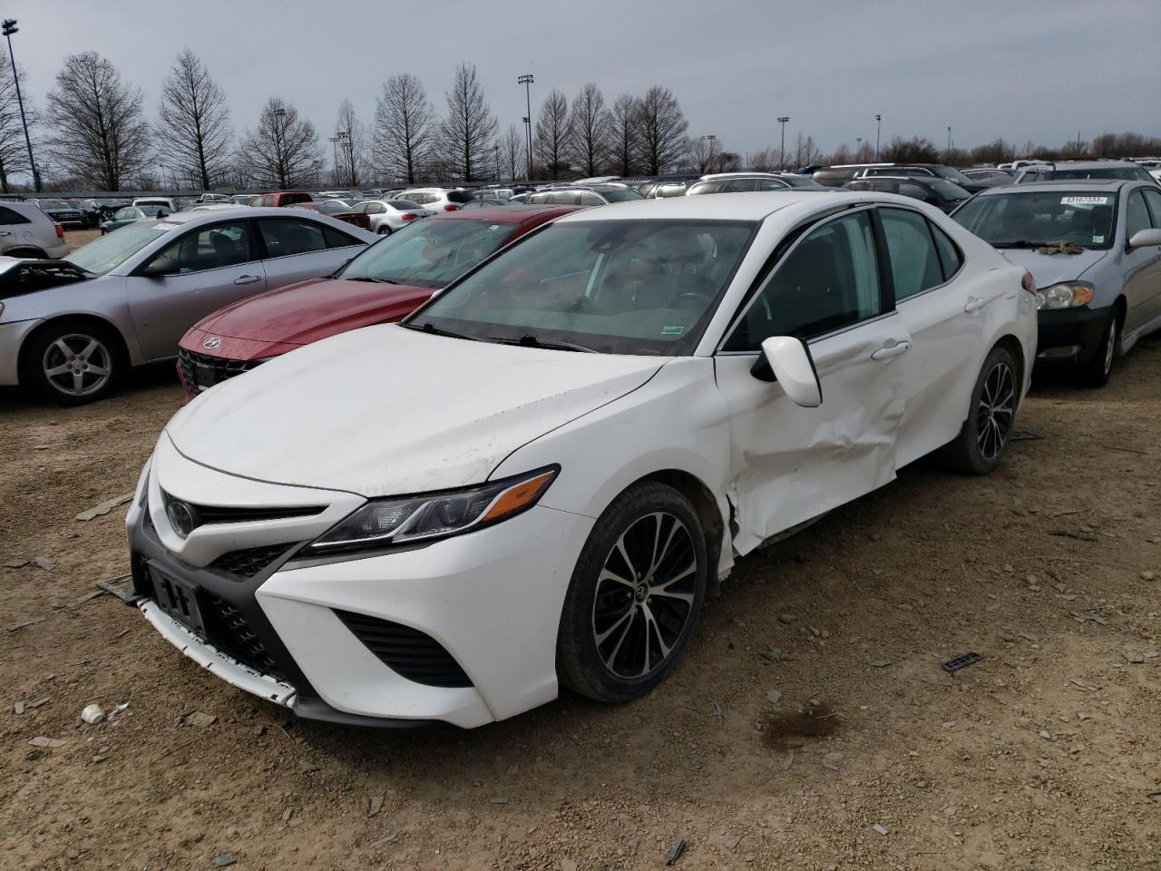 2019 TOYOTA CAMRY L