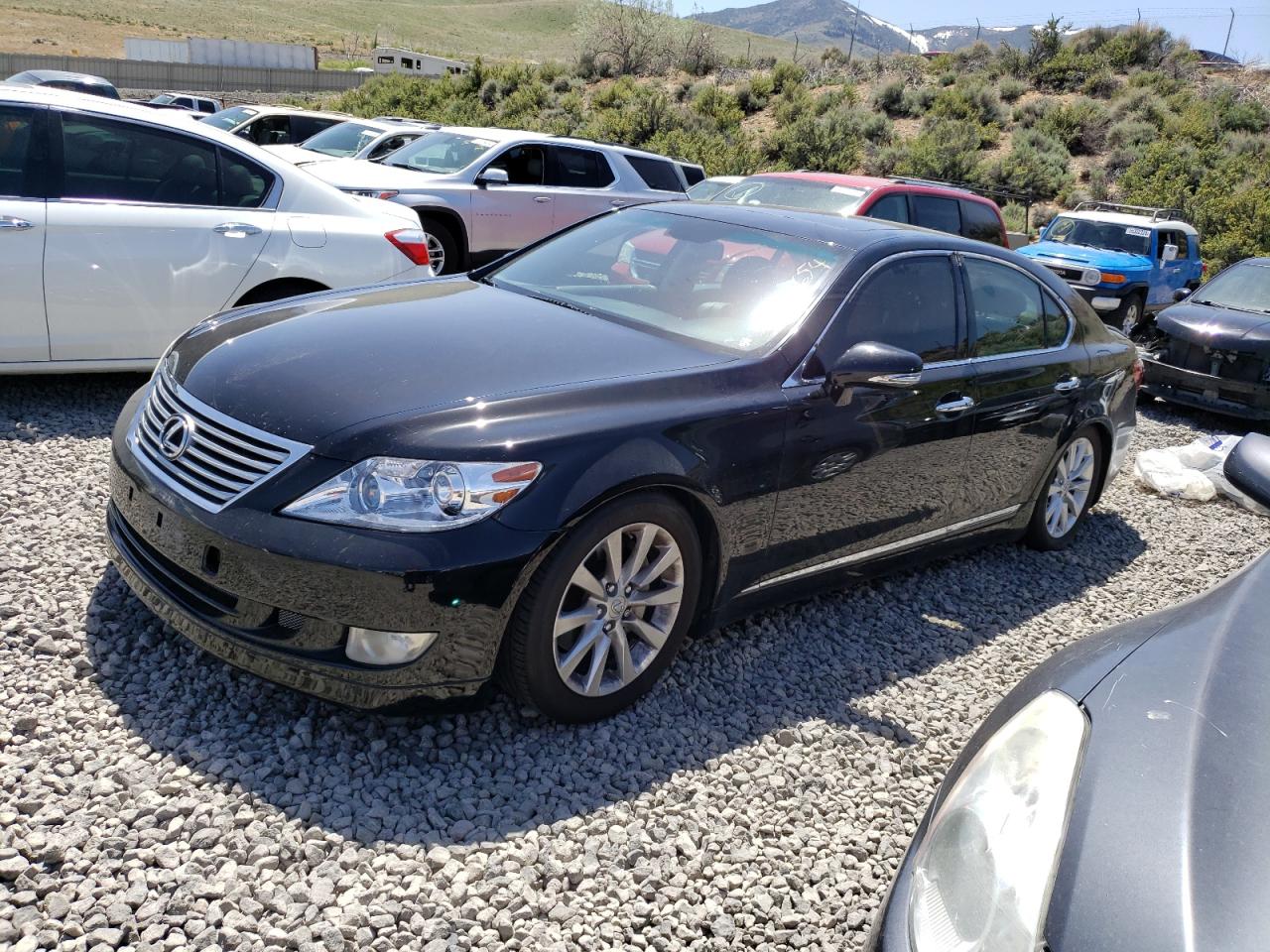 2011 LEXUS LS 460