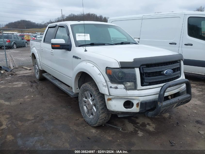 2013 FORD F-150 FX4