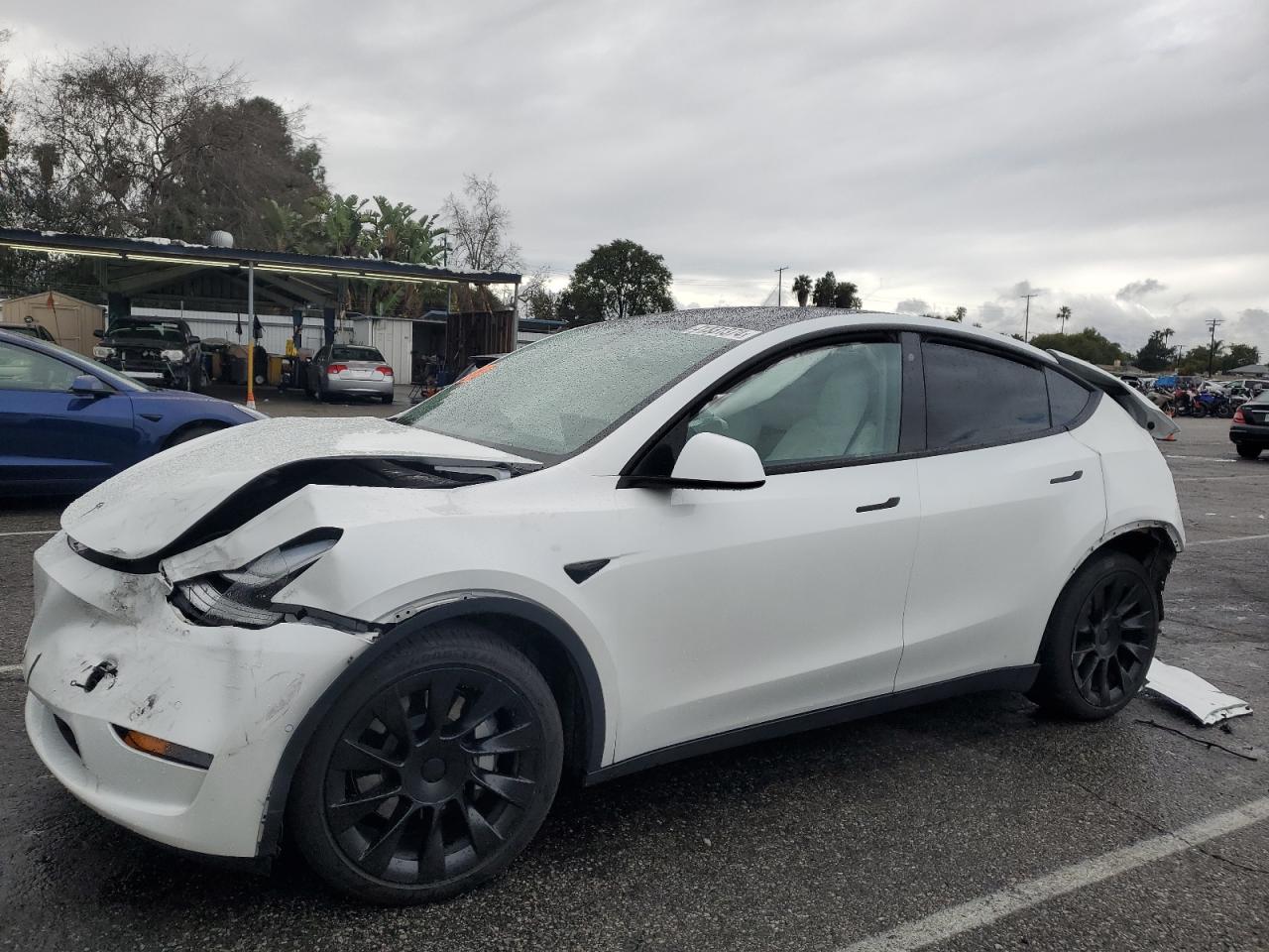 2020 TESLA MODEL Y