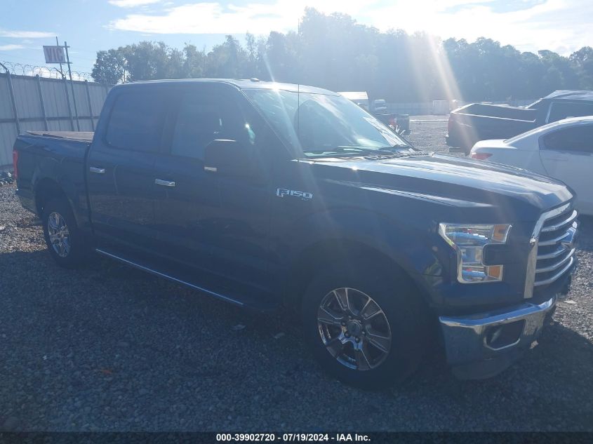 2015 FORD F-150 XLT