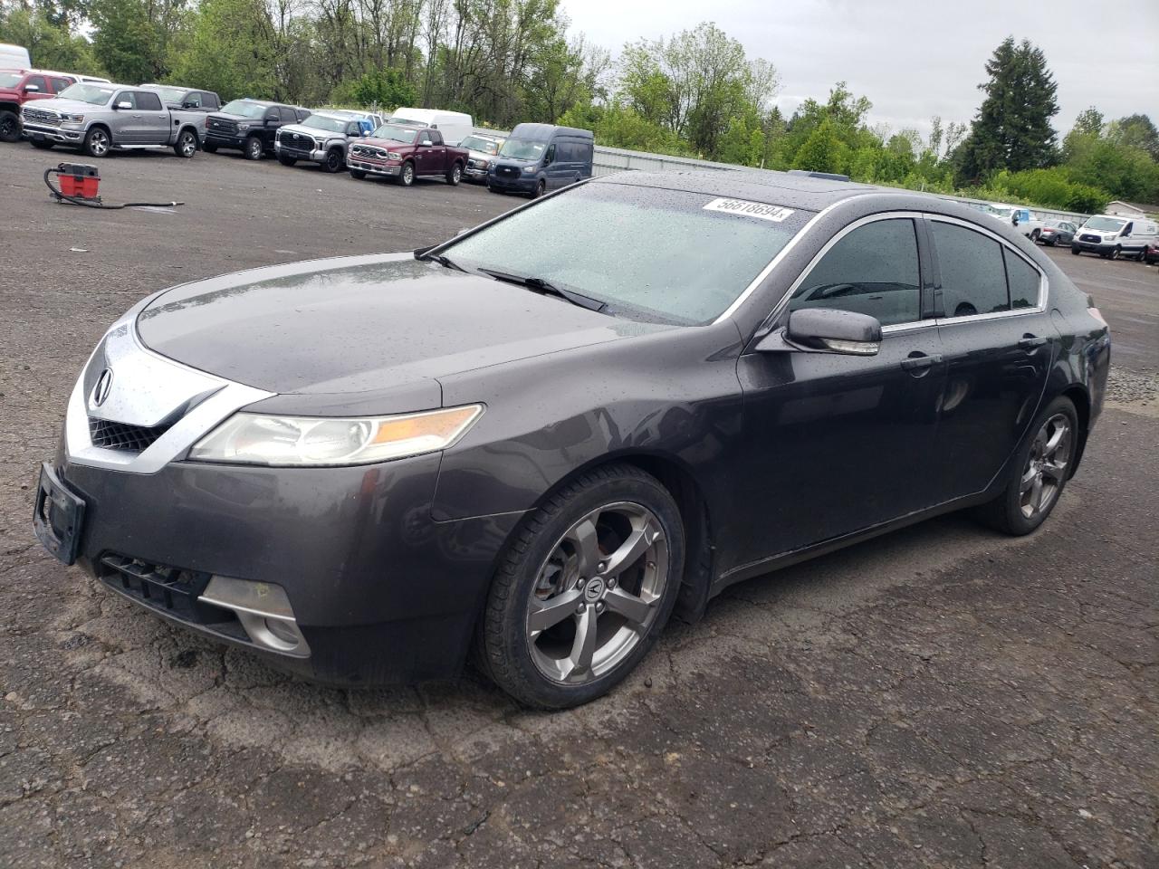 2010 ACURA TL