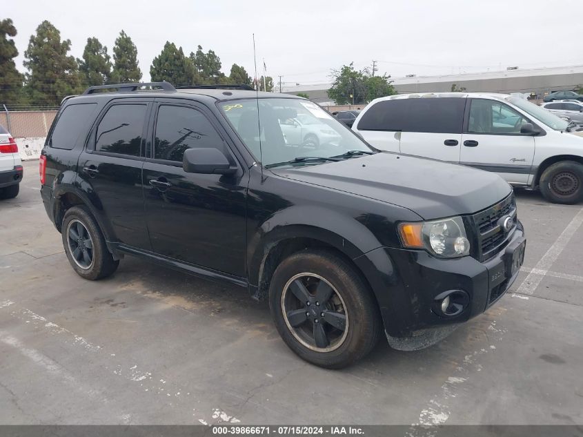 2010 FORD ESCAPE XLT