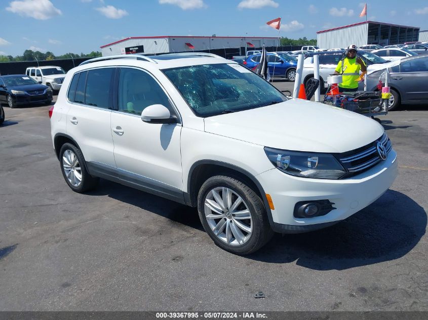 2013 VOLKSWAGEN TIGUAN SE