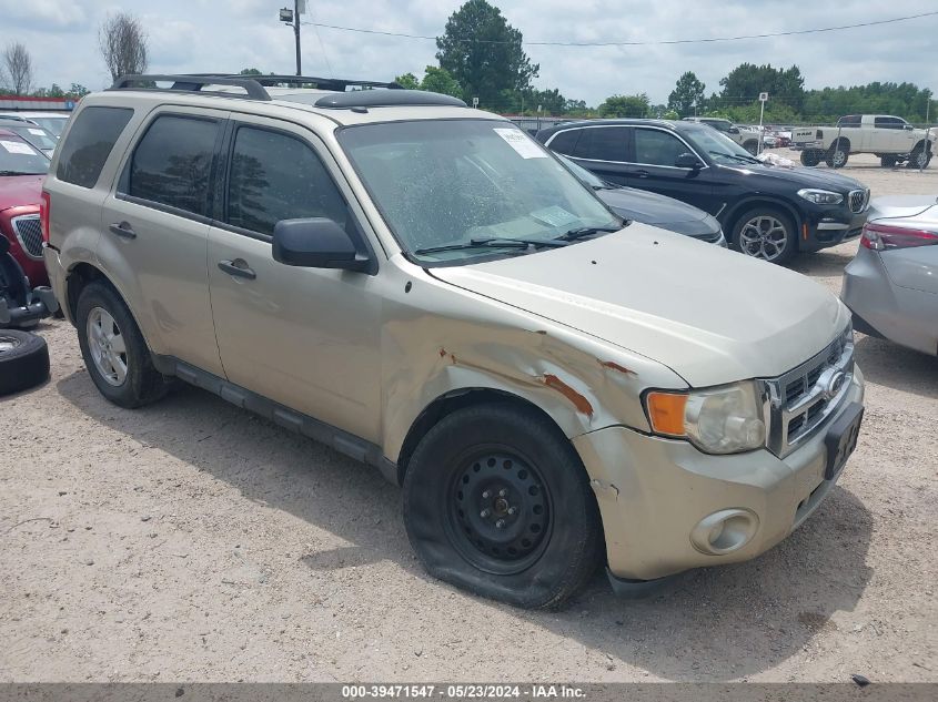 2010 FORD ESCAPE XLT