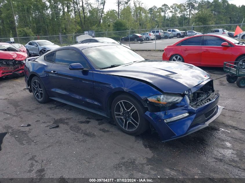 2019 FORD MUSTANG GT