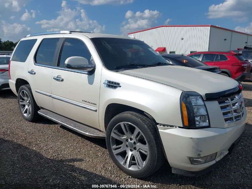 2010 CADILLAC ESCALADE STANDARD