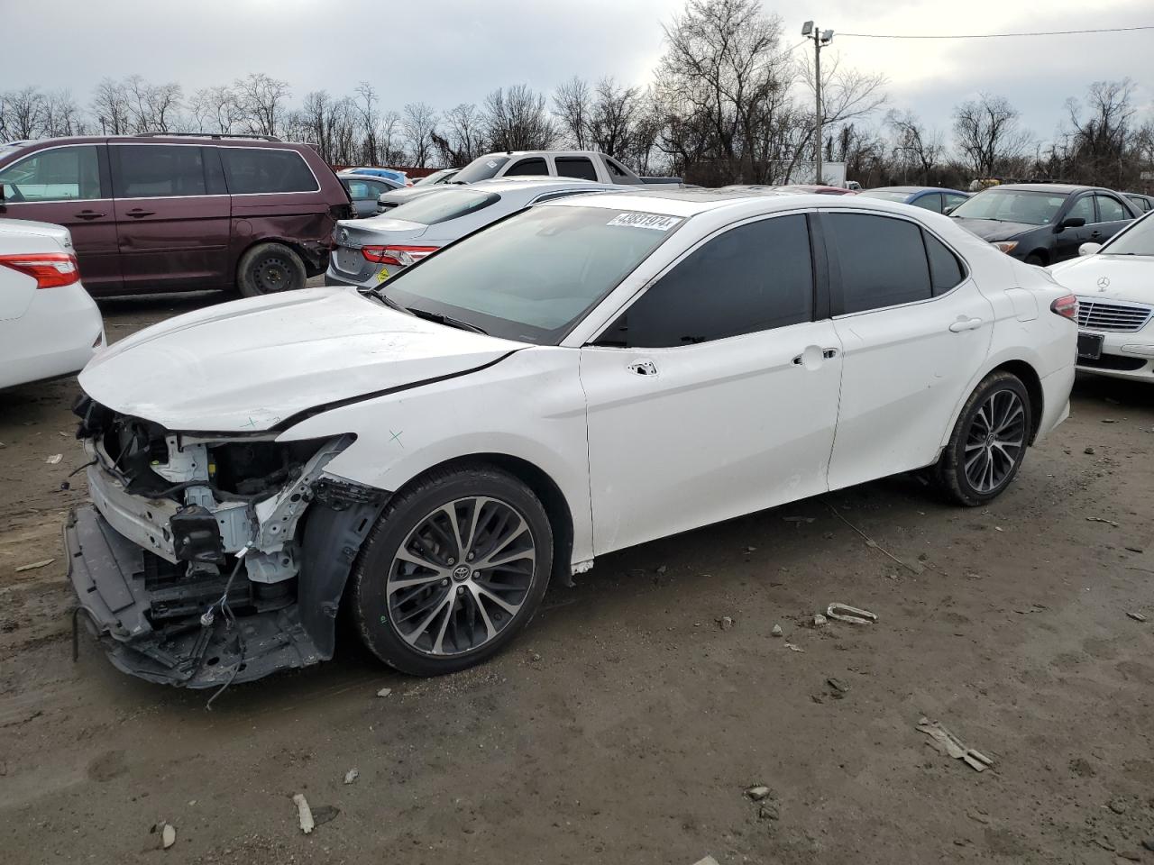 2019 TOYOTA CAMRY L