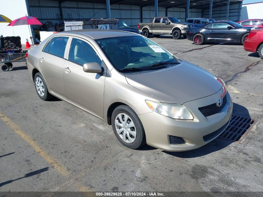 2010 TOYOTA COROLLA