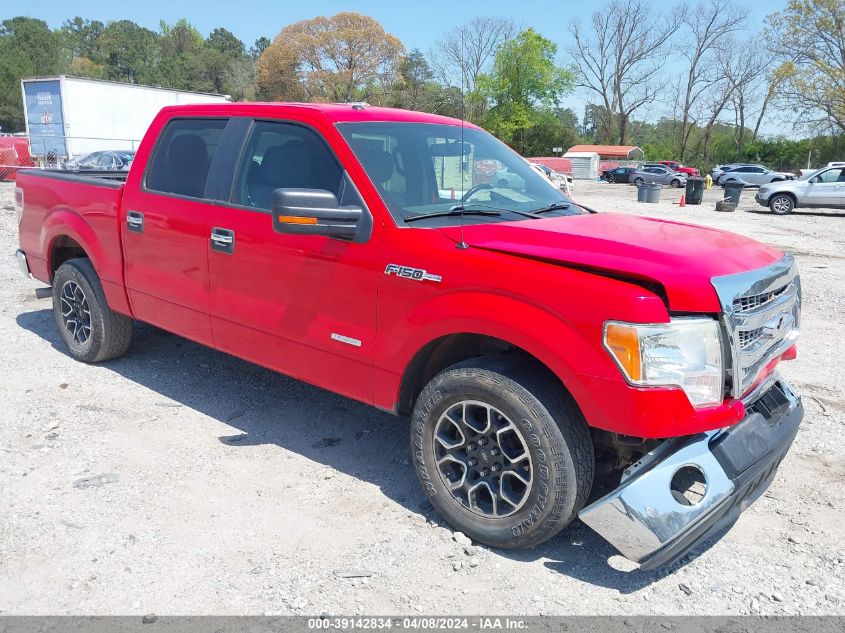 2013 FORD F-150 XLT