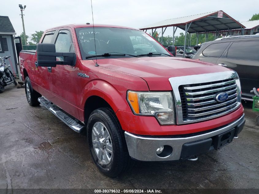 2011 FORD F-150 XLT